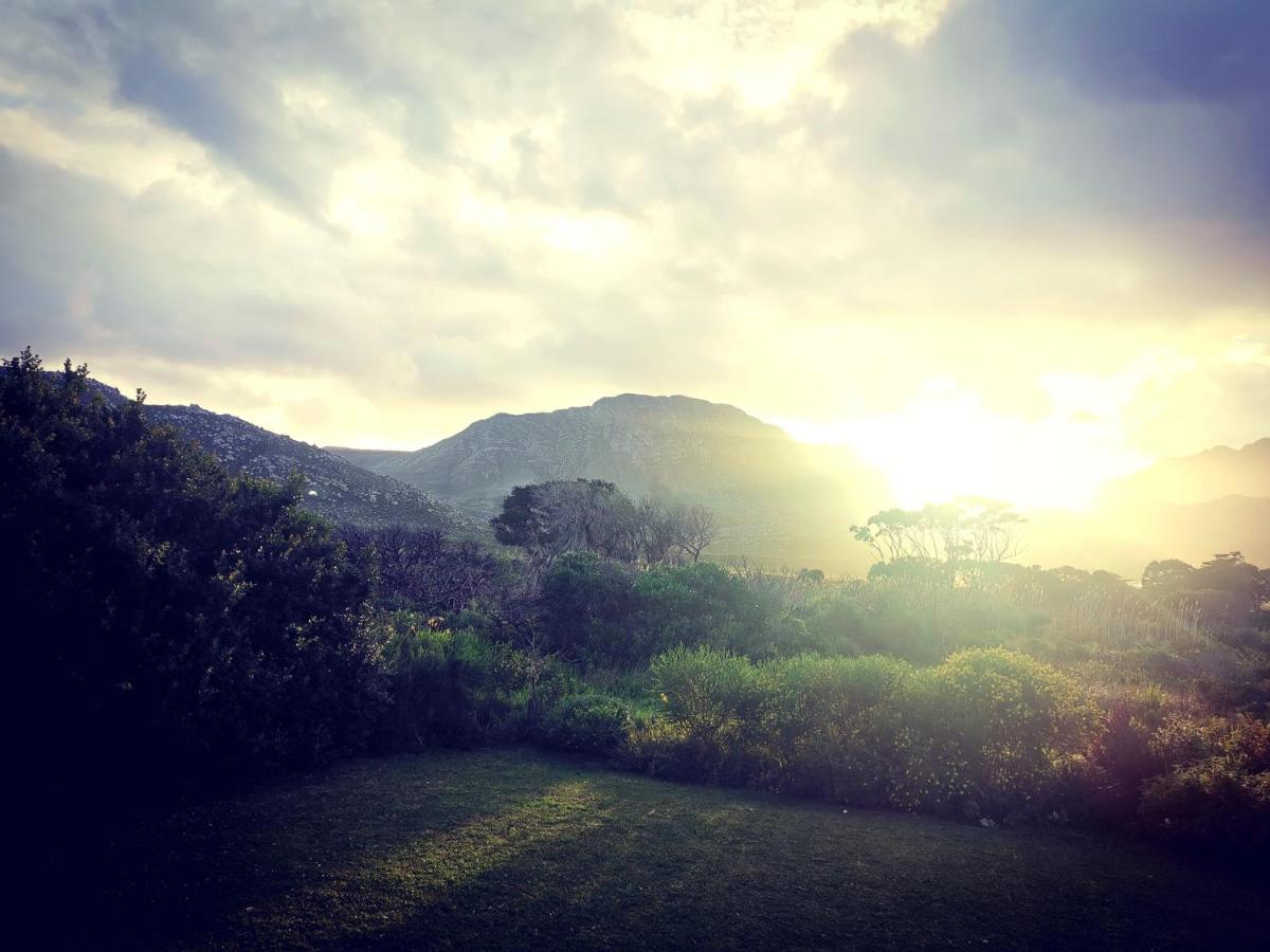 The Crowded House Villa Pringle Bay Exterior foto