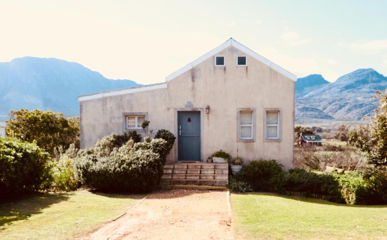 The Crowded House Villa Pringle Bay Exterior foto